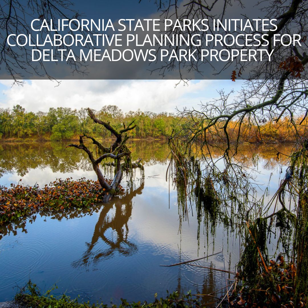 Delta Meadows